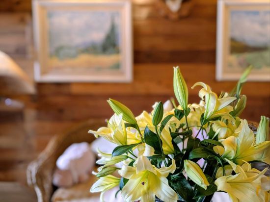 南投清境空中花園優惠