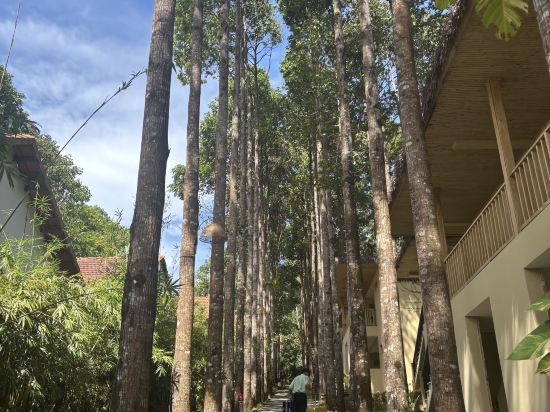 富國島拉海娜度假飯店優惠