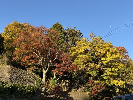 相鉄フレッサイン神戸三宮 クーポン