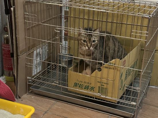 九份美好時光民宿優惠