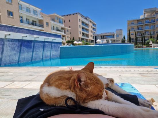 埃裏希亞公園酒店優惠