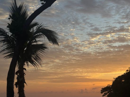 布吉卡馬拉海灘酒店 （SHA Extra Plus）優惠