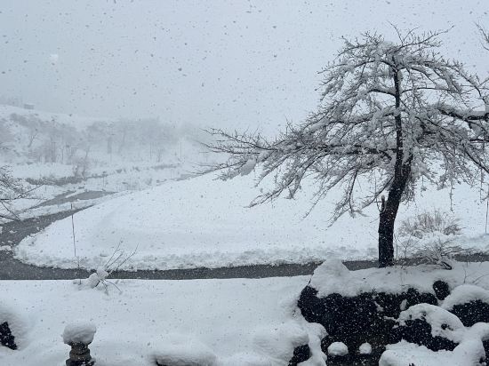 笹倉温泉　龍雲荘 クーポン