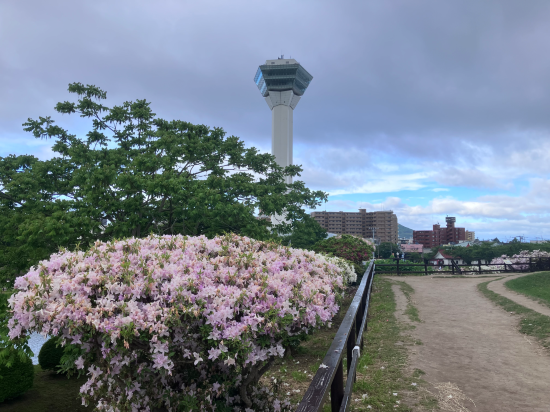 スマイルホテルプレミアム函館五稜郭 クーポン