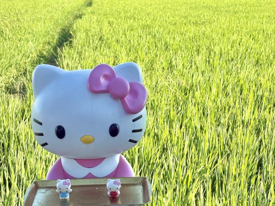 格林豪泰商務酒店（中山南朗輕軌站店）優惠