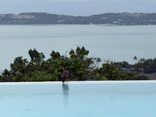 蘇梅島曼特拉度假飯店優惠