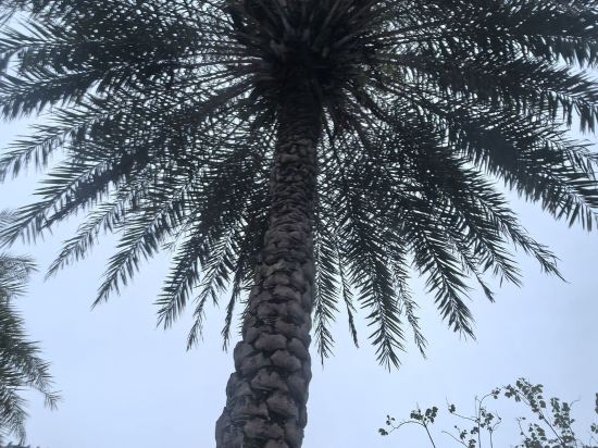 廣州珠江新城五羊邨地鐵站亞朵酒店優惠