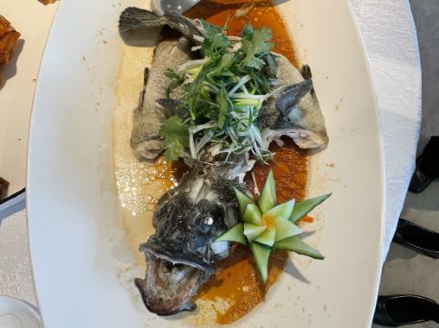 深圳安蒂婭美蘭酒店優惠