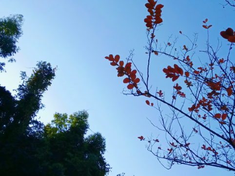 小璐智能酒店（肇慶七星巖風景區東門廣場店）優惠