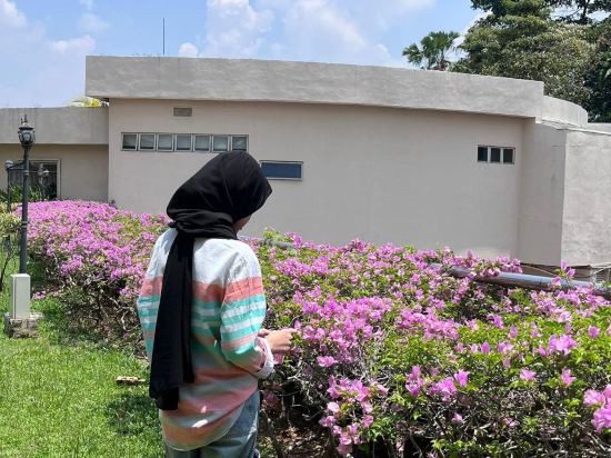 脈搏大飯店優惠