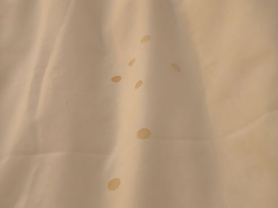 柏那卡精品酒店優惠