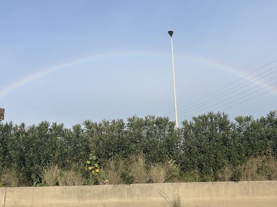 赫斯珀里亞費拉套房酒店優惠