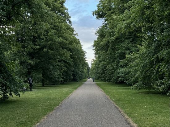 皇后公園酒店優惠