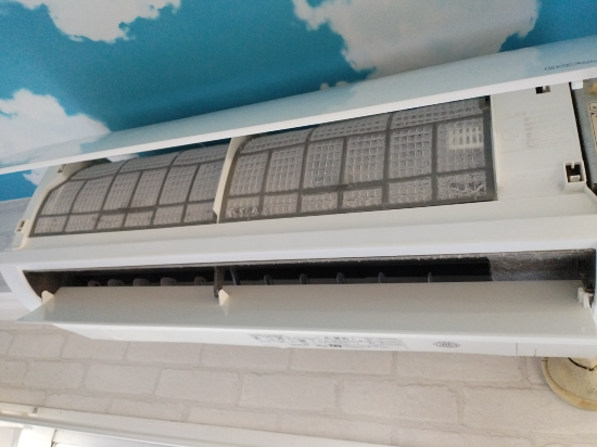 黄金の杜 クーポン