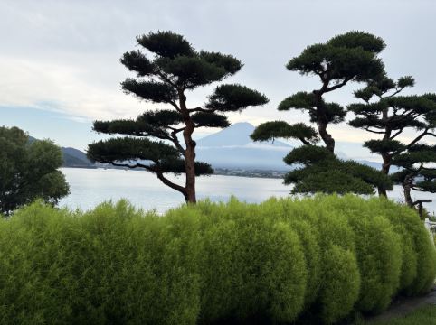 秀峰閣　湖月 クーポン