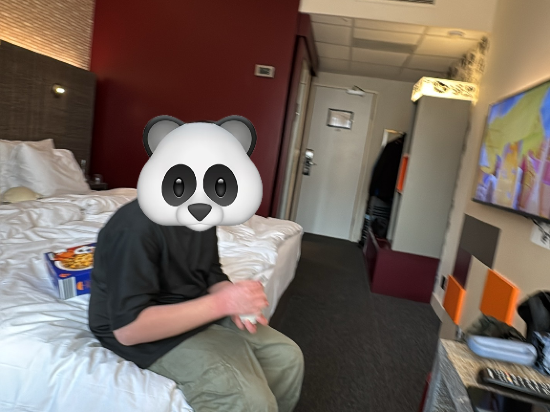 瑞丁貝爾特酒店優惠