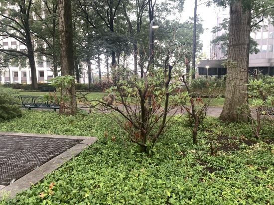 匹茲堡温德姆大酒店優惠