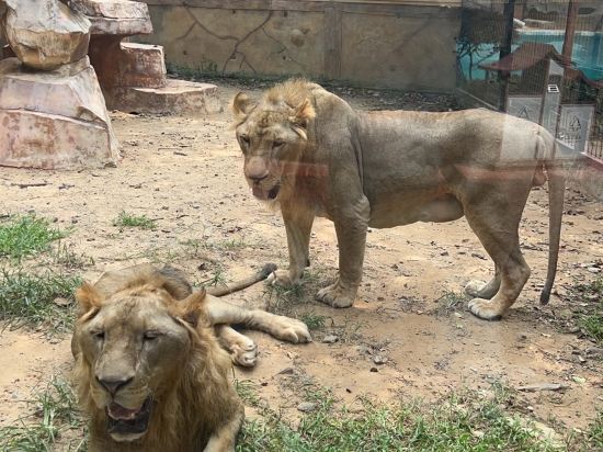 東莞隱賢山莊酒店優惠
