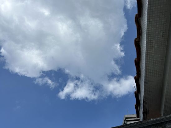 新興翔順龍山酒店優惠