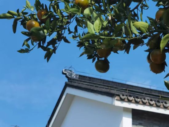 上海松江廣富林宰相府飯店優惠