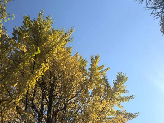 麗橙酒店·悦（貴陽大十字廣場店）優惠