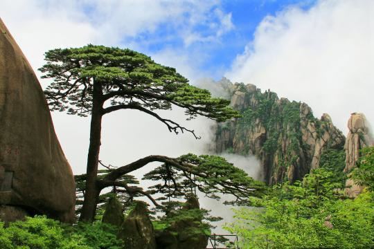 黃山獅林大酒店優惠