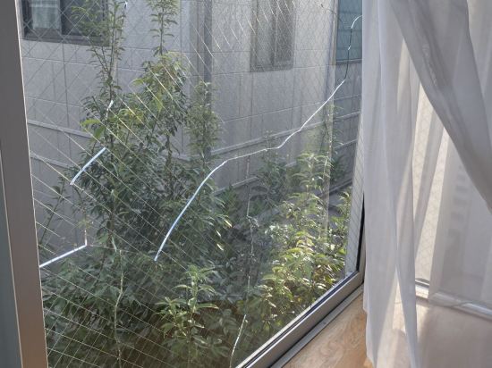 ドウゴノオヤドいわさき クーポン