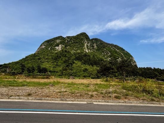 제주 푸른호텔 쿠폰