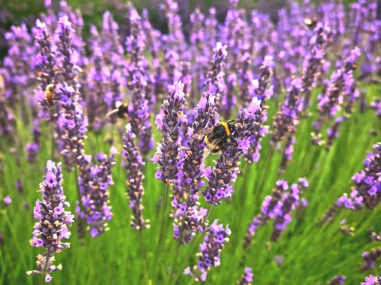 牛津市中心萬怡酒店優惠