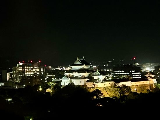 ダイワロイネットホテル和歌山 クーポン