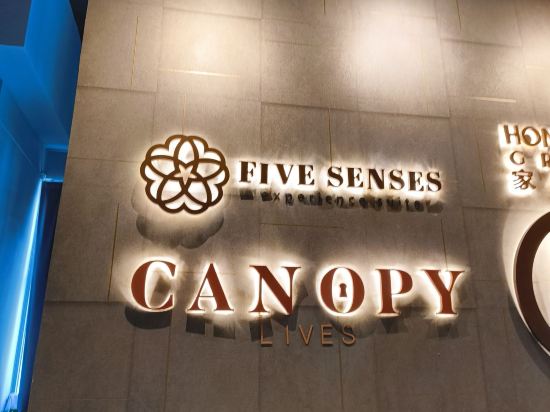 Colony & Luxe五感公寓式飯店優惠