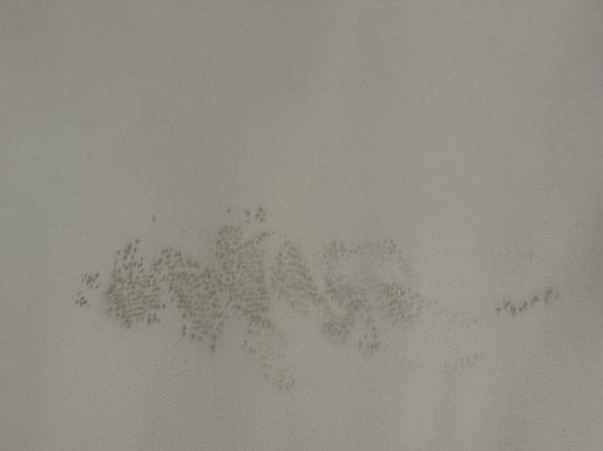 시그니엘 부산 쿠폰