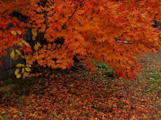 十和田莊飯店優惠