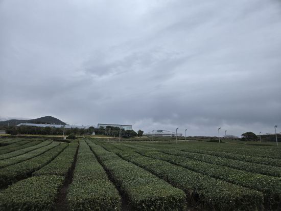 제주항공우주호텔 쿠폰