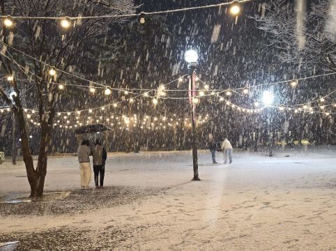 오크밸리 리조트 쿠폰