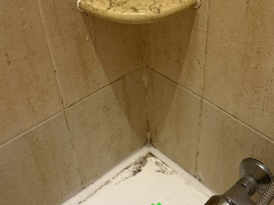 深圳福朋喜來登酒店優惠
