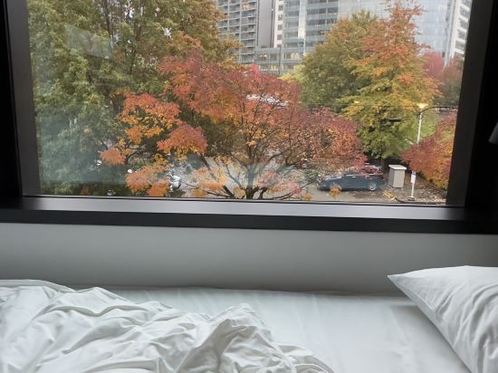 西雅圖聯合湖南邊 M 市民飯店優惠