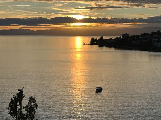 蒙特勒尤洛特爾酒店優惠