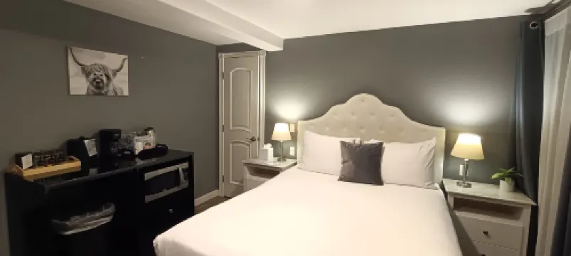 New Haven Inn Rooms Photos