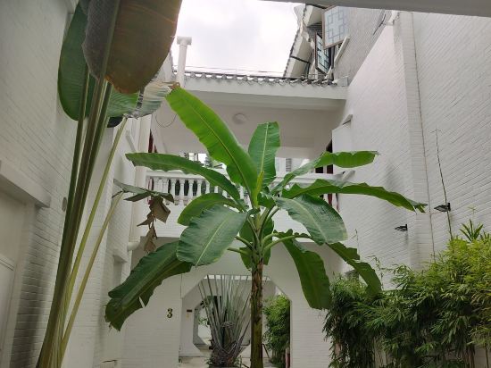 蕉葉民宿（三亞免税城店）優惠