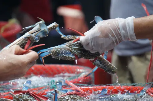 Lavande Hotel (Zhanjiang Guomao Guangbai) Photos