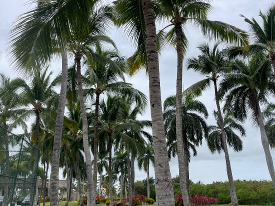 加勒比豪華公主海灘度假全包酒店優惠