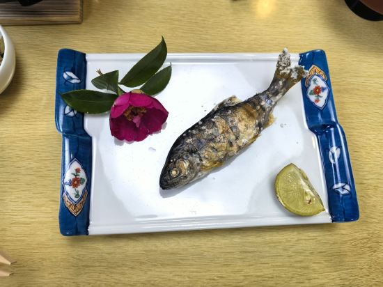 龍神温泉　美人亭 クーポン