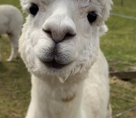 羅託路亞世外桃源旅舍優惠