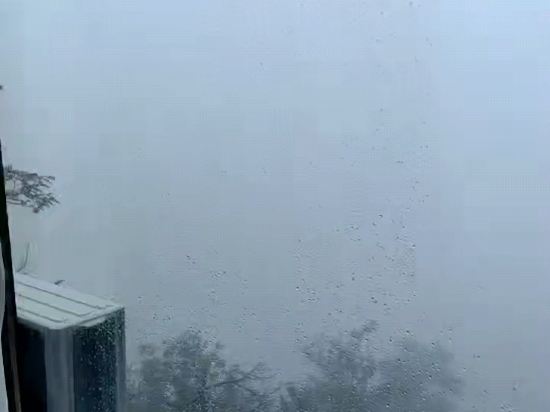 武當山金頂貴賓樓（金頂景區店）優惠