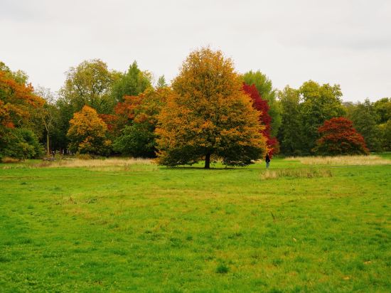 倫敦帕丁頓希爾頓酒店優惠