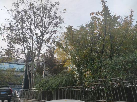 桔子酒店（濟南泉城廣場店）優惠