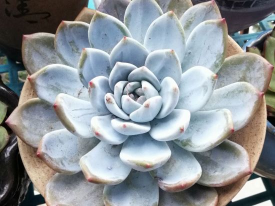 澳門假期酒店優惠