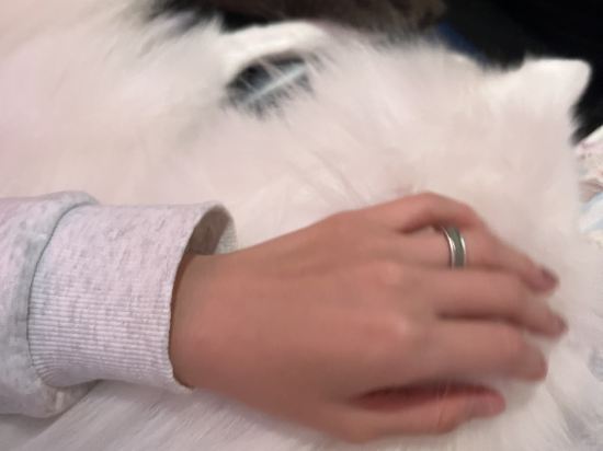 深圳福朋喜來登酒店優惠