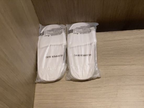 新德里國際機場假日旅館優惠